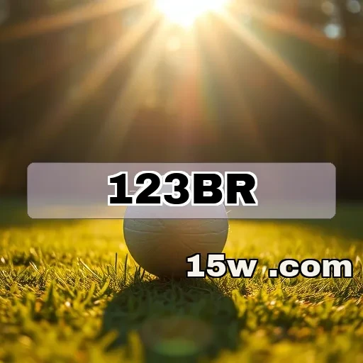 123br Suporte 24/7